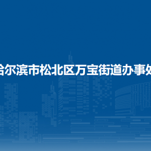 哈爾濱市松北區(qū)萬寶街道辦事處各部門職責(zé)及聯(lián)系電話