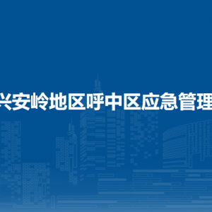 大興安嶺地區(qū)呼中區(qū)應(yīng)急管理局各部門(mén)職責(zé)及聯(lián)系電話(huà)