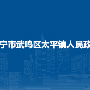 南寧市武鳴區(qū)太平鎮(zhèn)政府各部門負(fù)責(zé)人和聯(lián)系電話