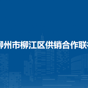 柳州市柳江區(qū)供銷合作聯(lián)社各部門(mén)負(fù)責(zé)人和聯(lián)系電話