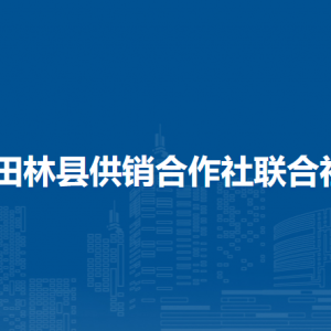 田林縣供銷合作社聯(lián)合社各部門負(fù)責(zé)人和聯(lián)系電話