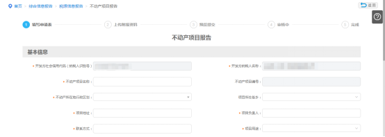 不動(dòng)產(chǎn)項(xiàng)目報(bào)告信息填寫(xiě)