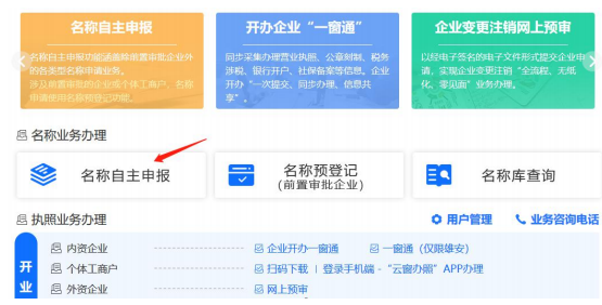 登錄名稱自主申報(bào)系統(tǒng)