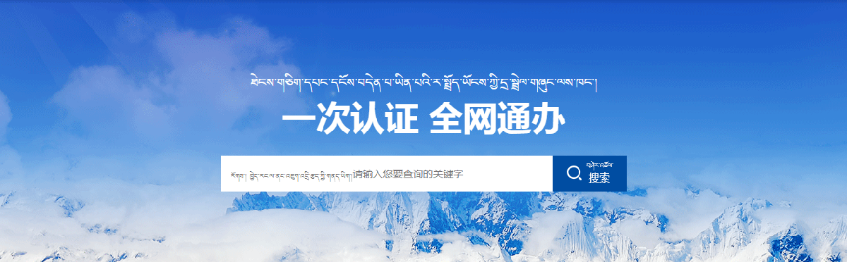 昌都政務服務網(wǎng)入口