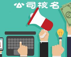 上海企業(yè)名稱預(yù)先核準登記入口