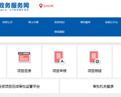 遼寧投資項(xiàng)目在線審批監(jiān)管平臺(tái)辦事大廳入口