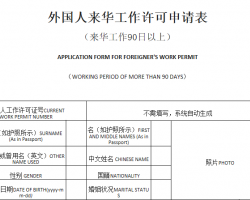 外國人來華工作許可申請表