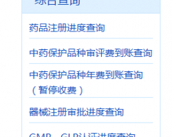 國(guó)家藥品監(jiān)督管理總局綜合查詢(xún)系統(tǒng)入口