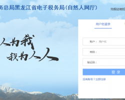 黑龍江自然人電子稅務局（個人所得稅）網(wǎng)廳入口
