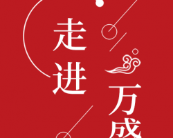 重慶市萬盛經(jīng)濟技術開發(fā)區(qū)經(jīng)濟和信息化局