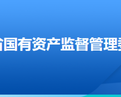 河北省人民政府國有資產監(jiān)督管理委員會