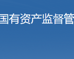 石家莊市人民政府國有資產監(jiān)督管理委員會