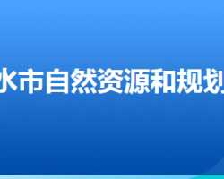 衡水市自然資源和規(guī)劃局