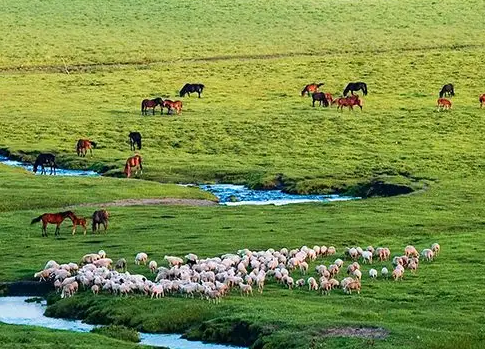 圍場(chǎng)滿族蒙古族自治縣圍場(chǎng)鎮(zhèn)人民政府