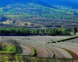 平泉市林業(yè)和草原局