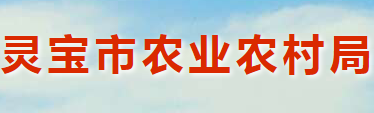 靈寶市農(nóng)業(yè)農(nóng)村局