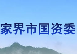 張家界市人民政府國(guó)有資產(chǎn)