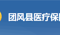 團(tuán)風(fēng)縣醫(yī)療保障局