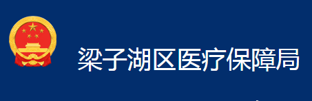 鄂州市梁子湖區(qū)醫(yī)療保障局