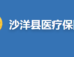 沙洋縣醫(yī)療保障局