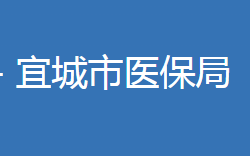 宜城市醫(yī)療保障局