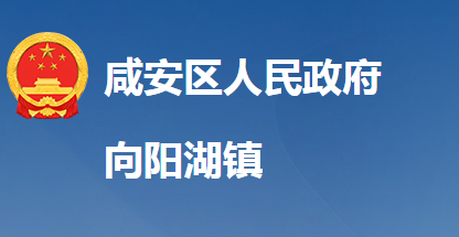 咸寧市咸安區(qū)向陽湖鎮(zhèn)人民政府