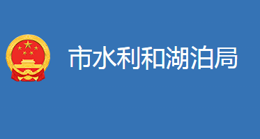 麻城市水利和湖泊局