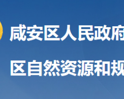 咸寧市咸安區(qū)自然資源和規(guī)劃局