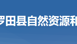 羅田縣自然資源和規(guī)劃局