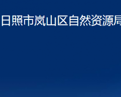 日照市嵐山區(qū)自然資源局