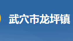 武穴市龍坪鎮(zhèn)人民政府