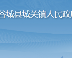 谷城縣城關鎮(zhèn)人民政府政務服務網