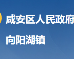 咸寧市咸安區(qū)向陽湖鎮(zhèn)人民政府