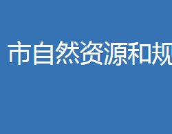 麻城市自然資源和規(guī)劃局