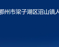 鄂州市梁子湖區(qū)沼山鎮(zhèn)人民