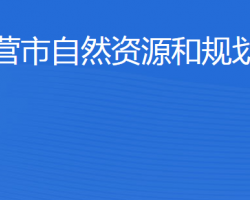 東營(yíng)市自然資源和規(guī)劃局