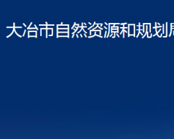 大冶市自然資源和規(guī)劃局