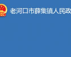 老河口市薛集鎮(zhèn)人民政府