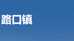 黃岡市黃州區(qū)路口鎮(zhèn)人民政府