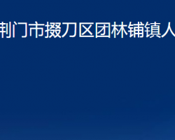 荊門市掇刀區(qū)團林鋪鎮(zhèn)人民政府