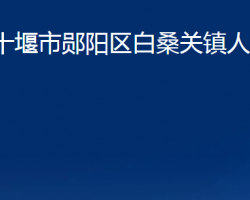 十堰市鄖陽區(qū)白桑關(guān)鎮(zhèn)人民政府