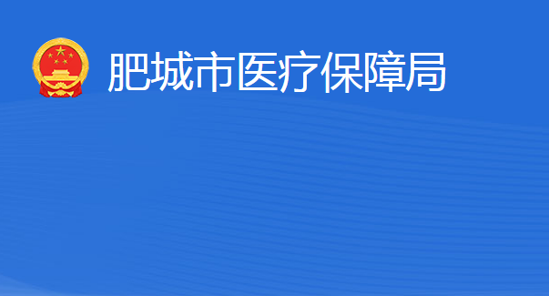 肥城市醫(yī)療保障局