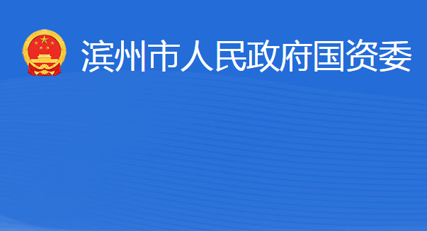 濱州市人民政府國有資產(chǎn)監(jiān)督管理委員會