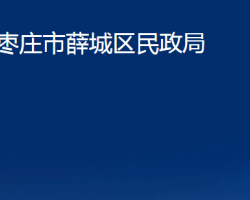 棗莊市薛城區(qū)民政局