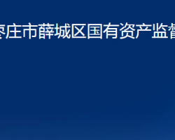 棗莊市薛城區(qū)國(guó)有資產(chǎn)監(jiān)督管理局