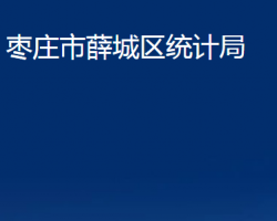 棗莊市薛城區(qū)統(tǒng)計局