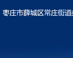 棗莊市薛城區(qū)常莊街道辦事處