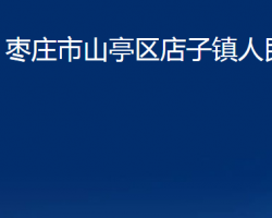 棗莊市山亭區(qū)店子鎮(zhèn)人民政府