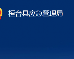 桓臺(tái)縣應(yīng)急管理局