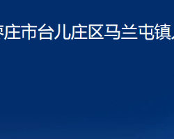 棗莊市臺兒莊區(qū)馬蘭屯鎮(zhèn)人民政府